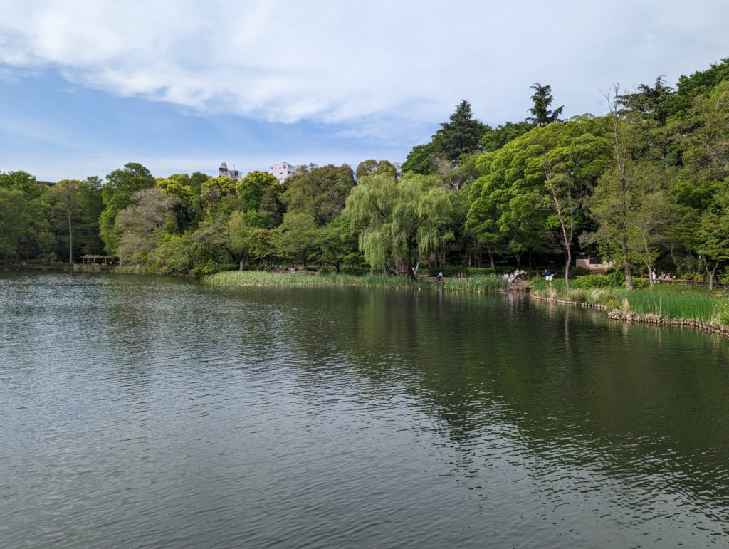 Ein großer See im Inokashira Park in Kichijoji