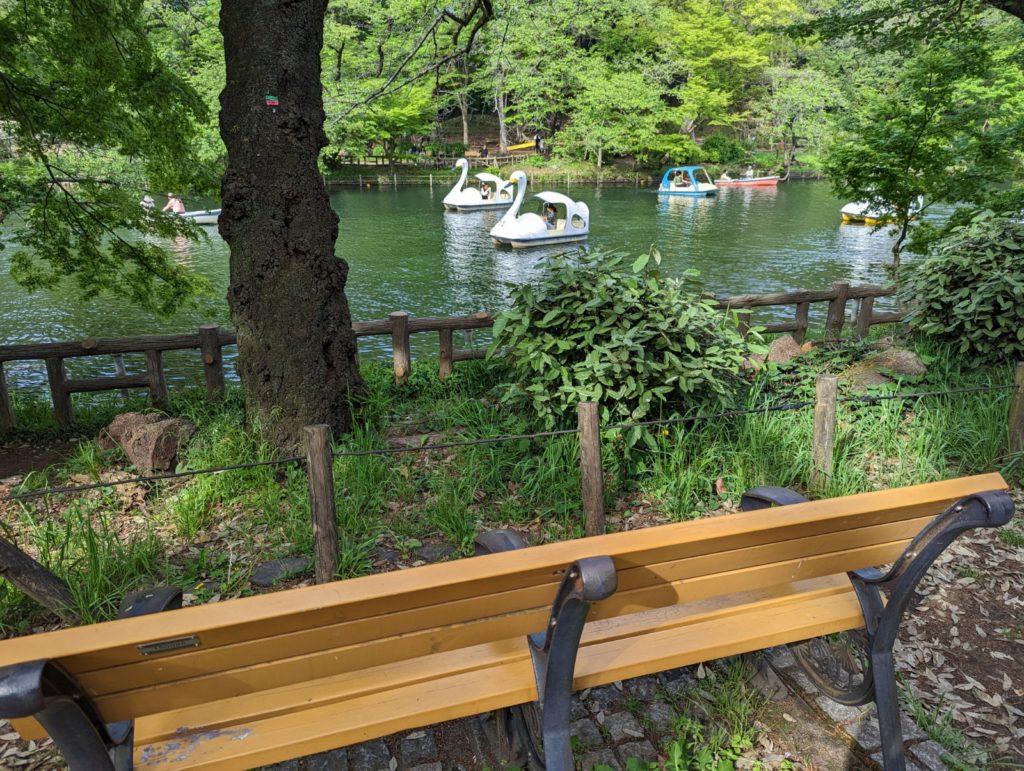 Blick auf eine Bank vor dem See im Inokashira Park. Auf dem See fahren zahlreiche Schwanenboote.