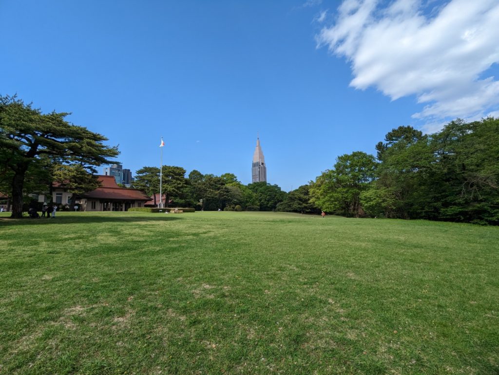 Eine große Liege- und Spielwiese im Yoyogi-Park in Tokio