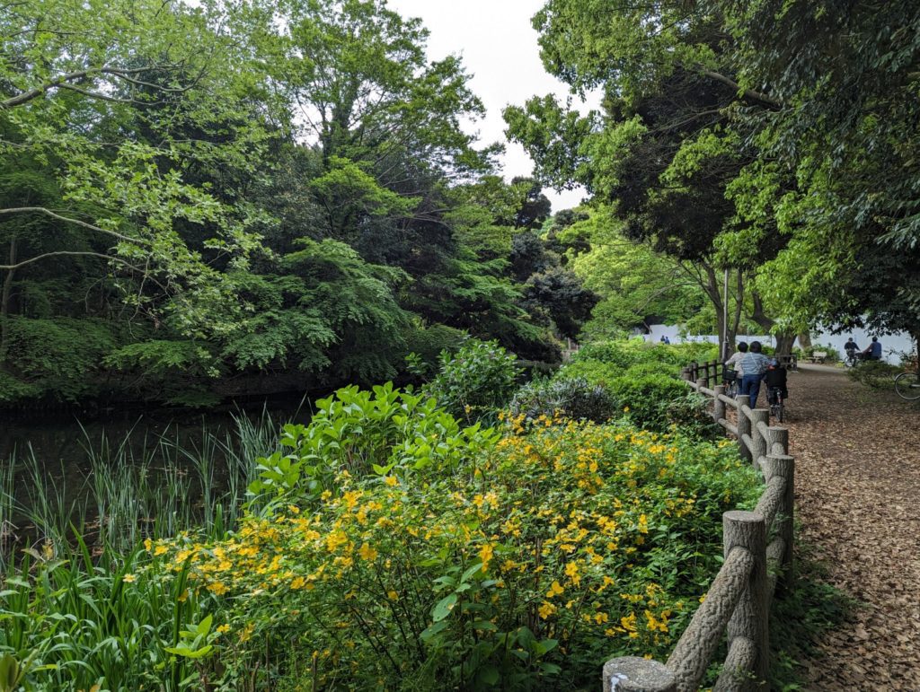 Ein Weg am Teich in einem Park mit blühenden Pflanzen.