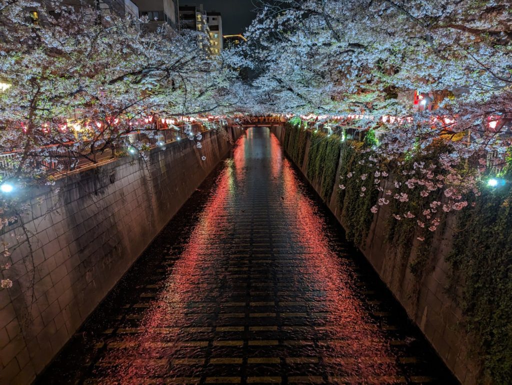 Der Meguro-Fluss bei Dunkelheit erstrahlt unter Laternen und illuminierten Bäumen. Die Laternen spiegeln sich zudem im Wasser des Flusses.