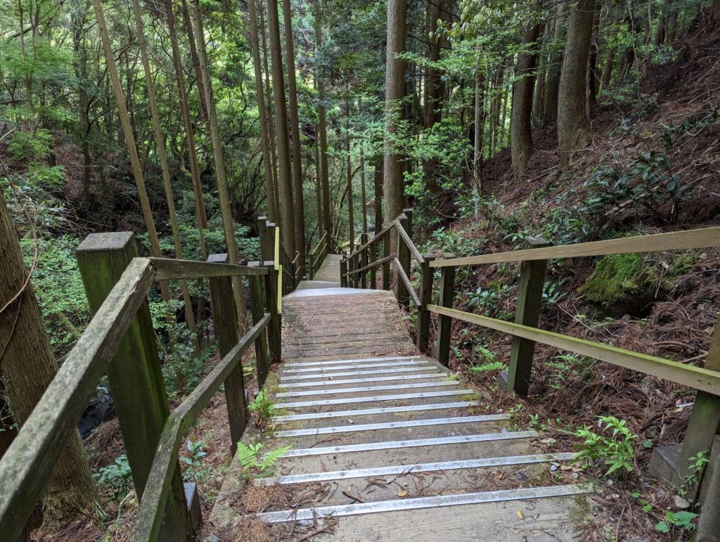 Hölzerne Treppen führen in einem dichten Wald nach unten