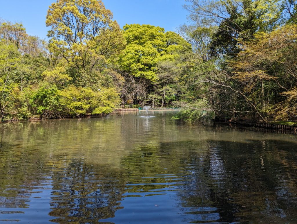 Ein großer Teich, gesäumt von vielen Bäumen und einem kleinen Springbrunnen in der Mitte.