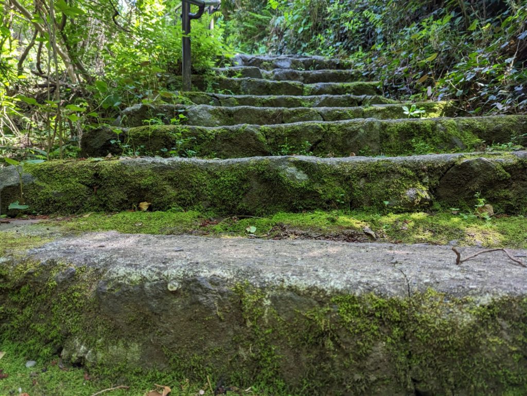 Nahaufnahme von mooßbewachsenen Treppen.