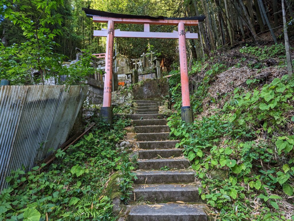 Eine Trepppe inmitten sehr grüner Umgebung führt durch ein prächtiges rotes Torii