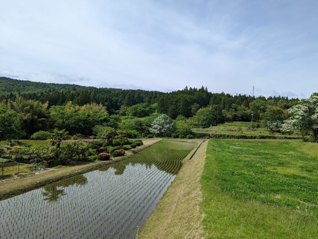 Blick auf die Reisfelder vor Magome.